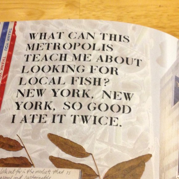 Seafood Cookbook -In at the Deep End Seafood Recipes - Picture 5 of 9